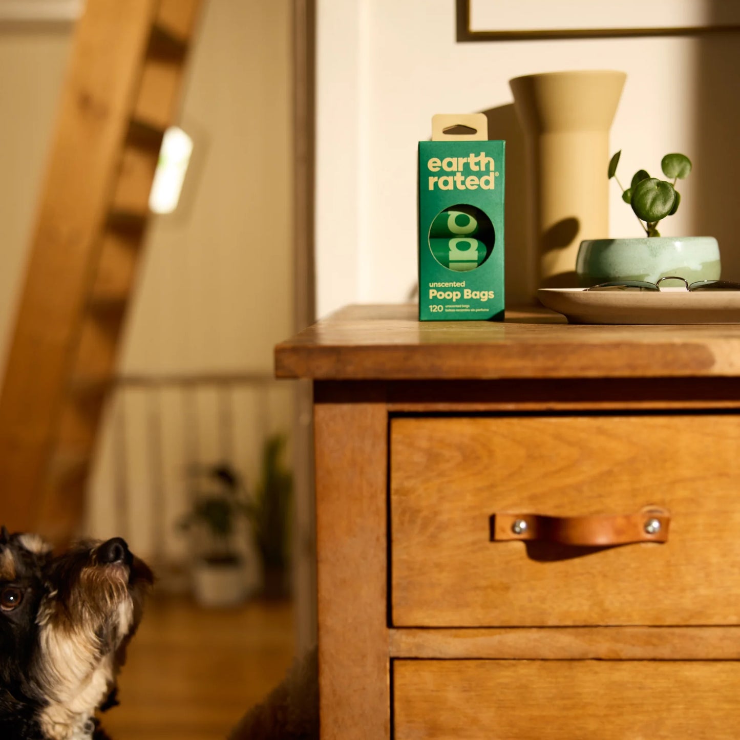 Ultra Thick Leak-Proof Dog Poop Bags - 60 Unscented Waste Bags for Easy Cleanup