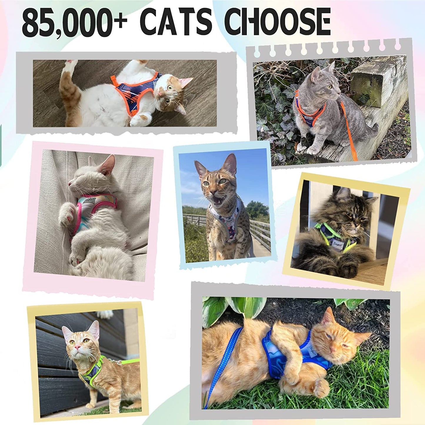 Escape-Proof Cat Harness and Leash Set - Adjustable Vest for All Cat Sizes, Perfect for Safe Outdoor Adventures!