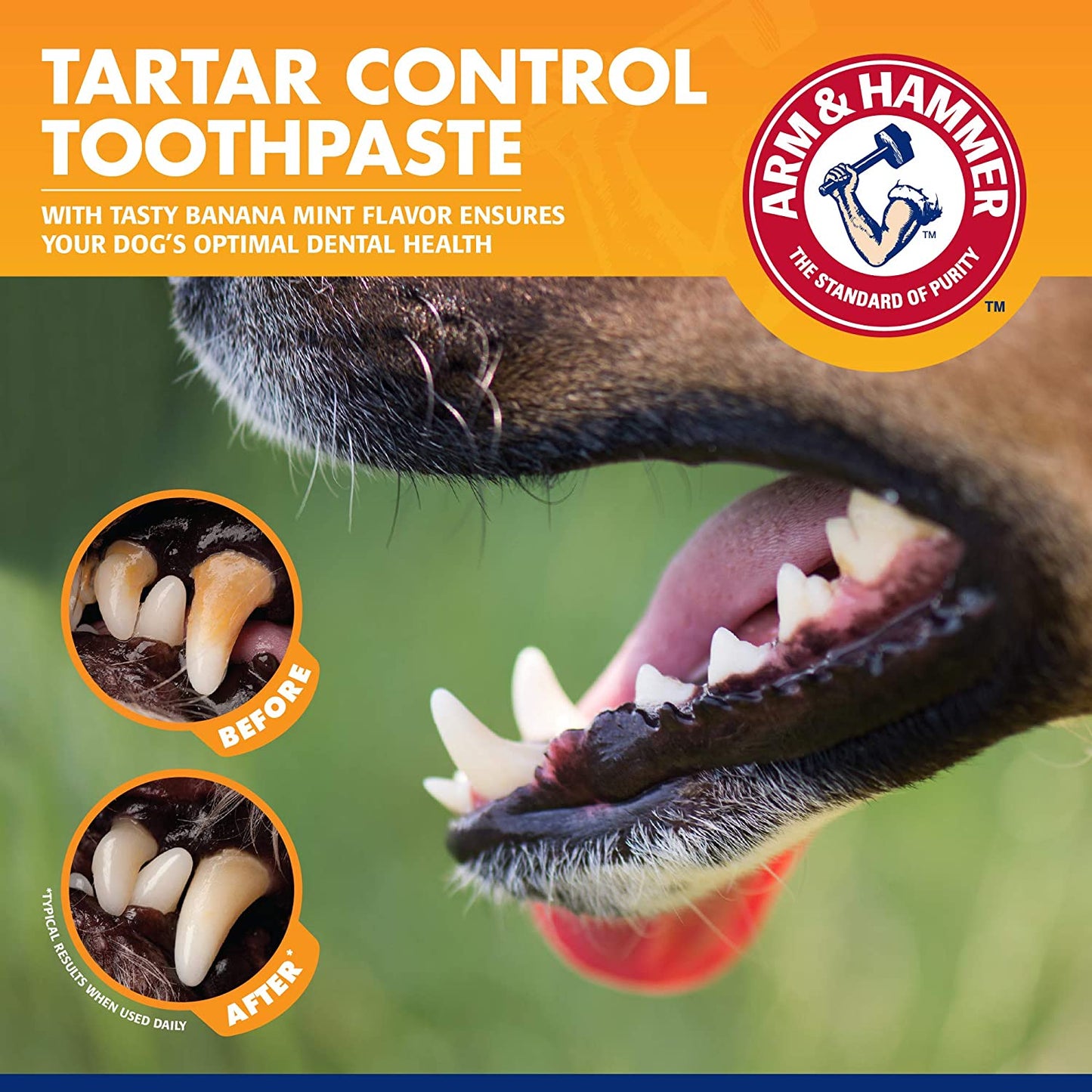Tartar Control Dental Care Kit for Dogs - 3-Piece Set Featuring Banana Mint Toothpaste, Toothbrush, and Fingerbrush to Reduce Plaque and Tartar Buildup