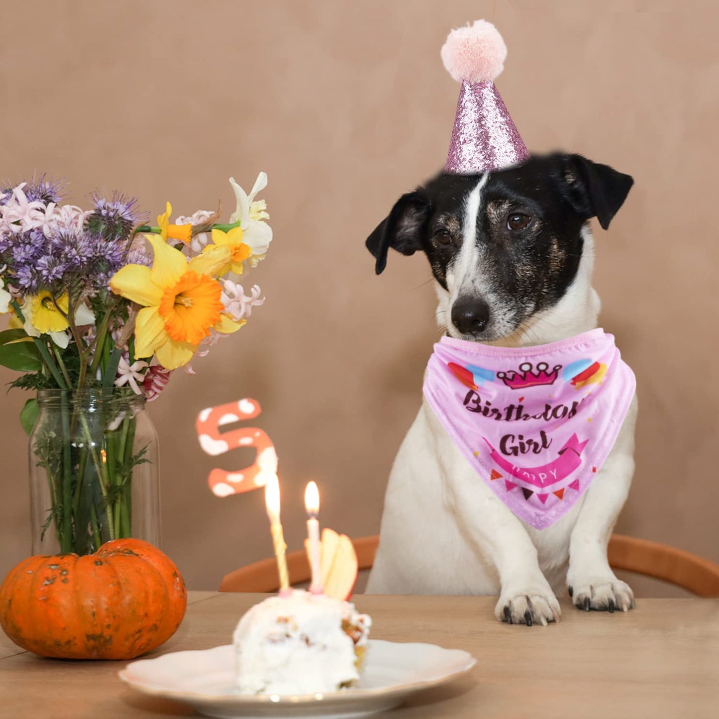 Adorable Dog Birthday Party Supplies Set - Cute Bandana, Hat, Banner & Bow Tie for Your Pup's Special Day (Pink, Dog Girl)
