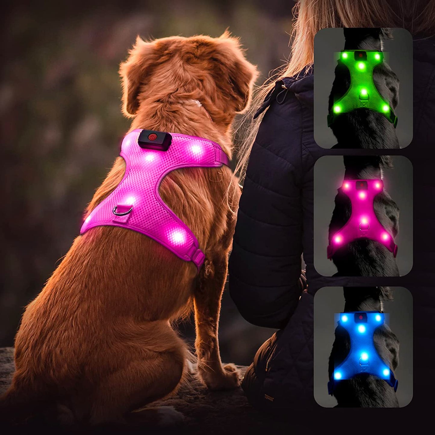 Rechargeable LED Dog Harness - Adjustable No-Pull Vest with Reflective Illumination for All Sizes (Green, Size S)