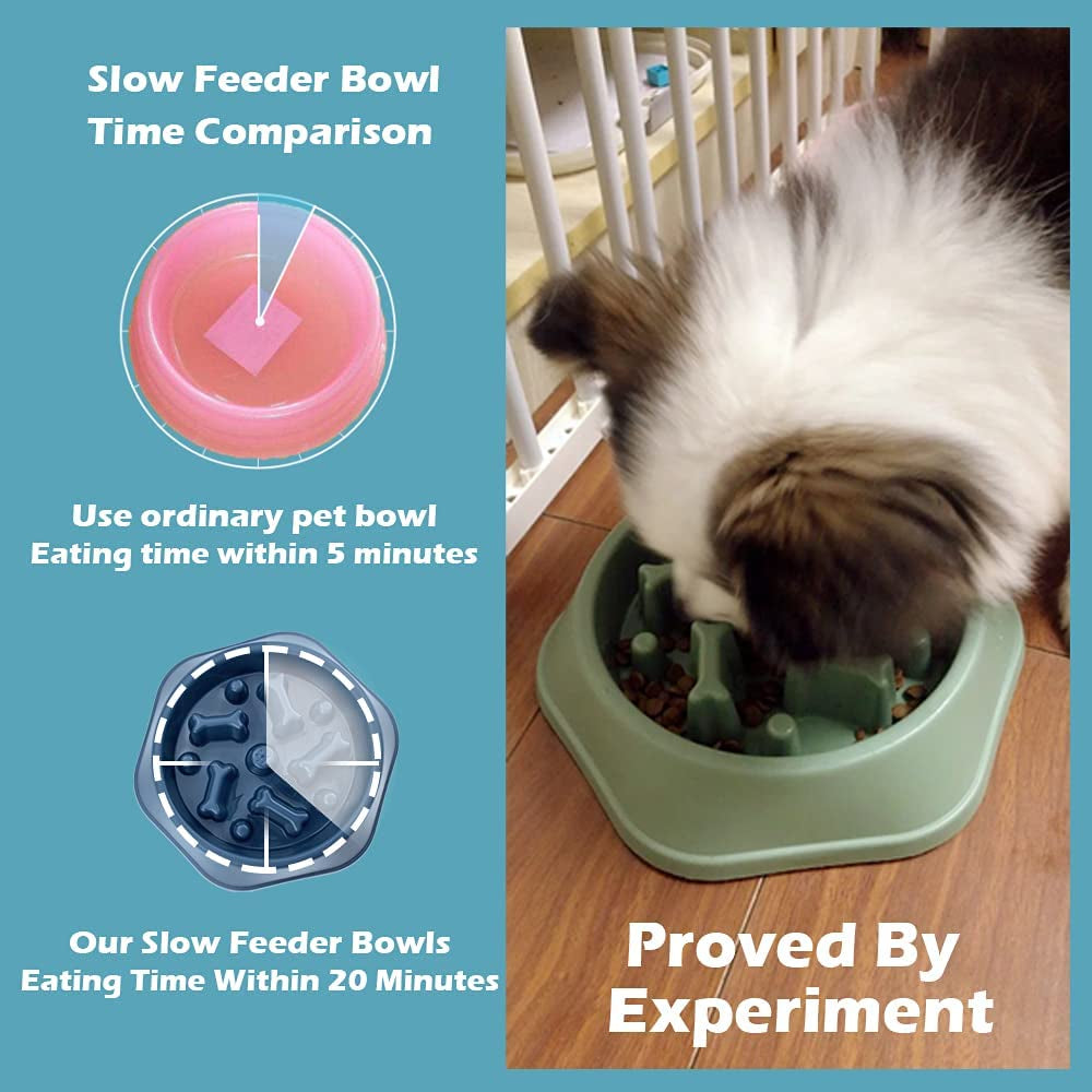 Interactive Slow Feeder Dog Bowl - Healthy Eating Solution for Small to Medium Dogs, Anti-Gulping Design to Prevent Bloat, Non-Slip Fun Feeding Experience
