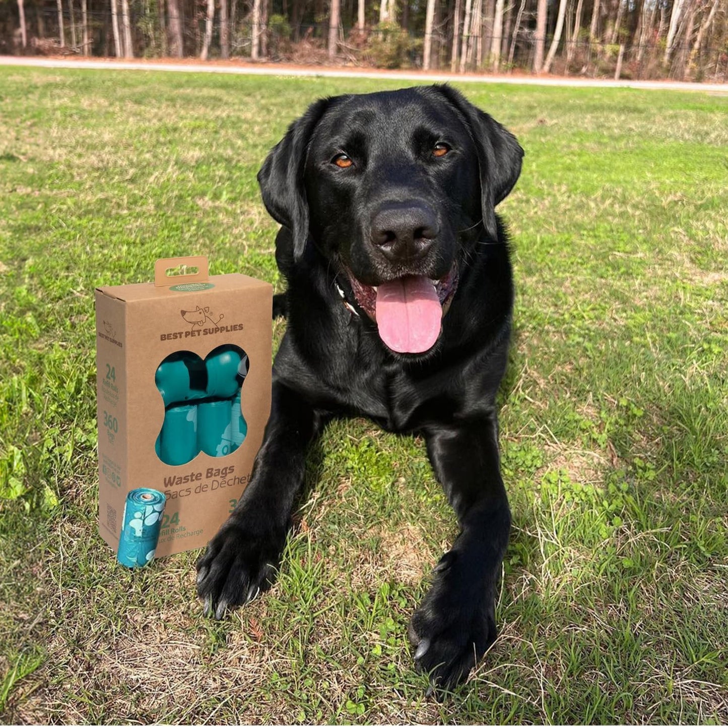 Premium Leak-Proof Dog Poop Bags - 360 Thick, Tear-Resistant Bags for Easy Outdoor Cleanup - Perfect for Puppy Walks & Travel - Stylish Turquoise Color