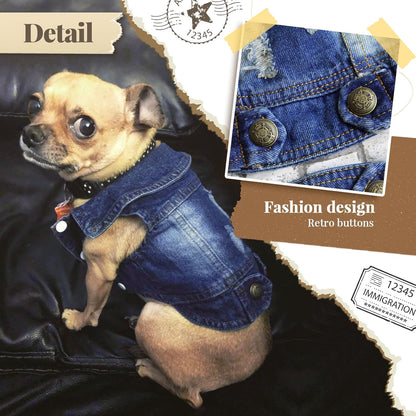 Trendy Denim Jacket for Small Pets - Fashionable Vest for Dogs and Cats, Ideal for Shih Tzu, Chihuahua, Yorkie, and Teacup Breeds