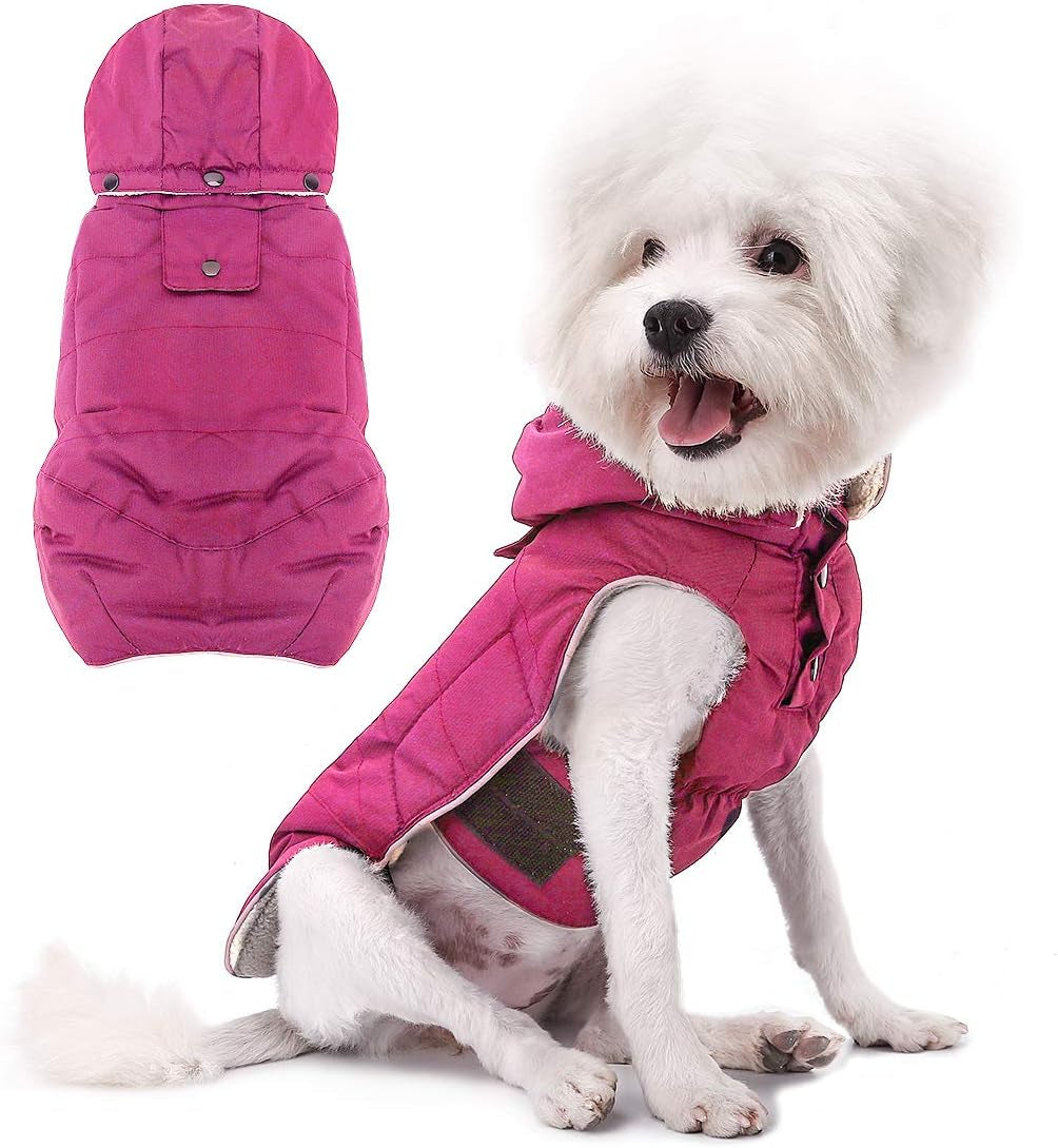 Ultimate Insulated Dog Winter Coat - Snowproof, Windproof & Waterproof with Cozy Fleece Lining and Detachable Hood for Small to Medium Dogs