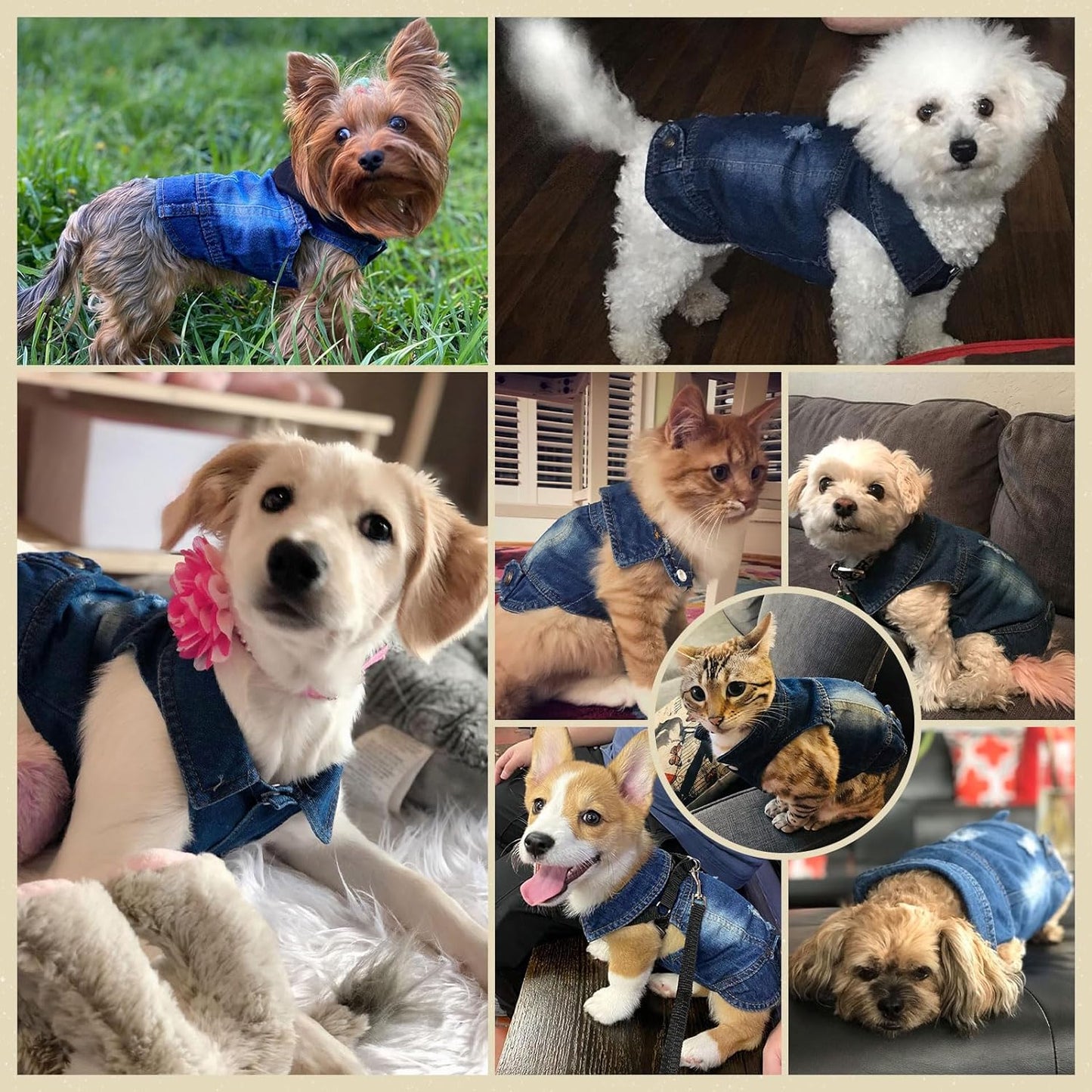Trendy Denim Jacket for Small Pets - Fashionable Vest for Dogs and Cats, Ideal for Shih Tzu, Chihuahua, Yorkie, and Teacup Breeds