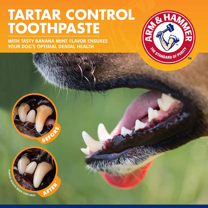 Tartar Control Dental Care Kit for Dogs - 3-Piece Set Featuring Banana Mint Toothpaste, Toothbrush, and Fingerbrush to Reduce Plaque and Tartar Buildup