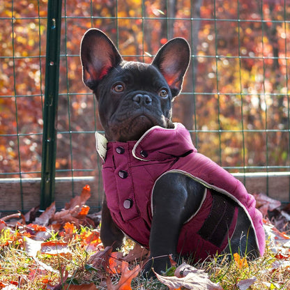 Ultimate Insulated Dog Winter Coat - Snowproof, Windproof & Waterproof with Cozy Fleece Lining and Detachable Hood for Small to Medium Dogs