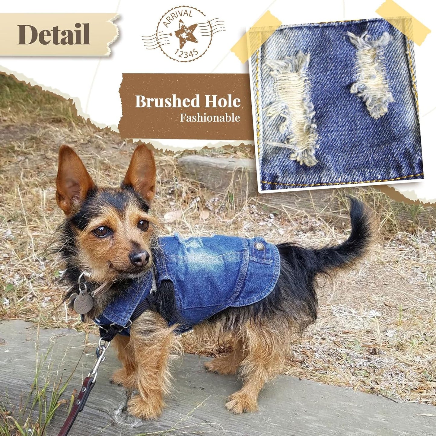 Trendy Denim Jacket for Small Pets - Fashionable Vest for Dogs and Cats, Ideal for Shih Tzu, Chihuahua, Yorkie, and Teacup Breeds