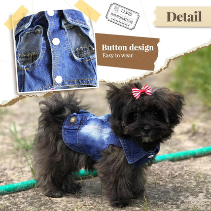 Trendy Denim Jacket for Small Pets - Fashionable Vest for Dogs and Cats, Ideal for Shih Tzu, Chihuahua, Yorkie, and Teacup Breeds
